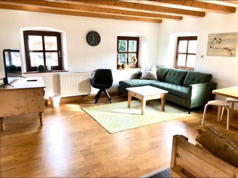 Wohn- und Essbereich mit Sofa, Holzbalkendecke und Küchenzeile – Vilstal Apartment 1 in Reisbach/Altersberg